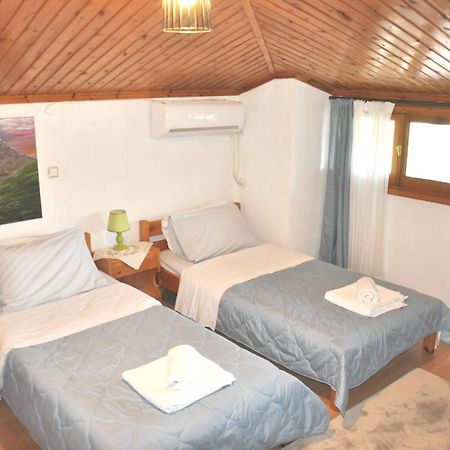 Cozy Loft With Fireplace & View Metsovo Bagian luar foto