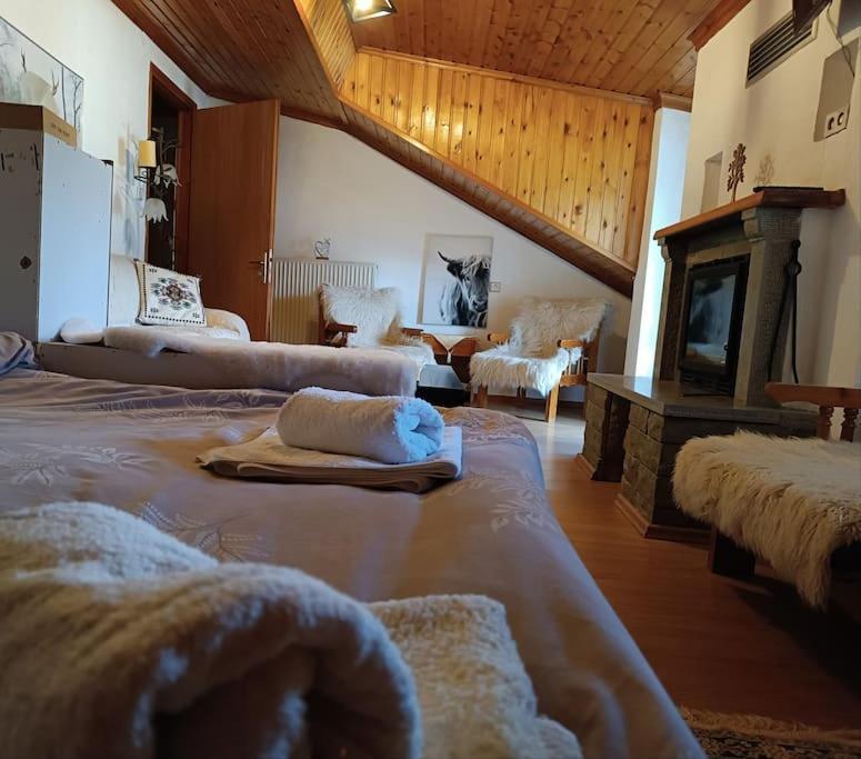 Cozy Loft With Fireplace & View Metsovo Bagian luar foto