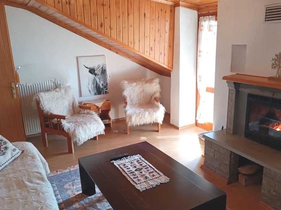 Cozy Loft With Fireplace & View Metsovo Bagian luar foto