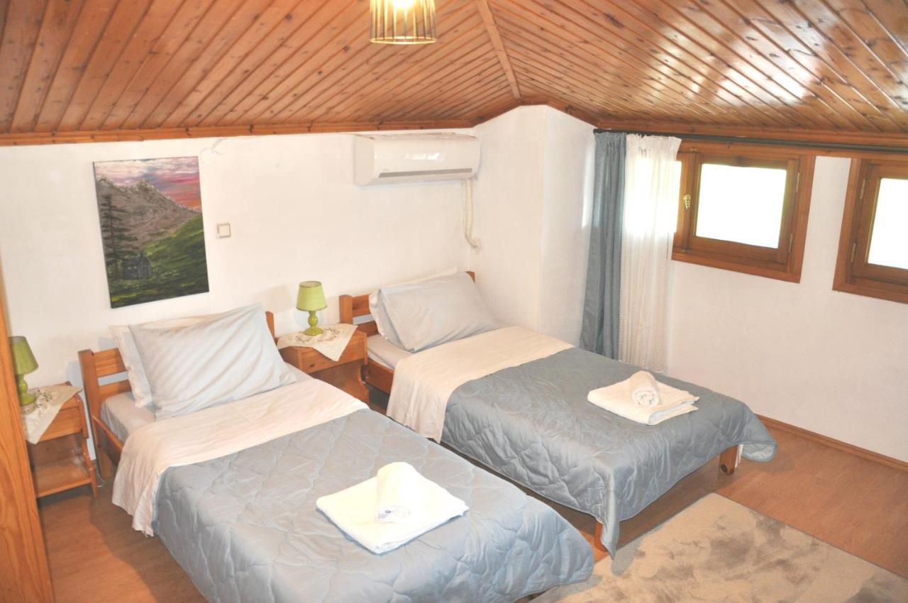 Cozy Loft With Fireplace & View Metsovo Bagian luar foto