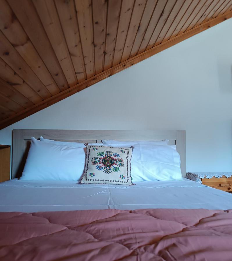 Cozy Loft With Fireplace & View Metsovo Bagian luar foto